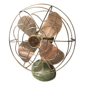 Fan
